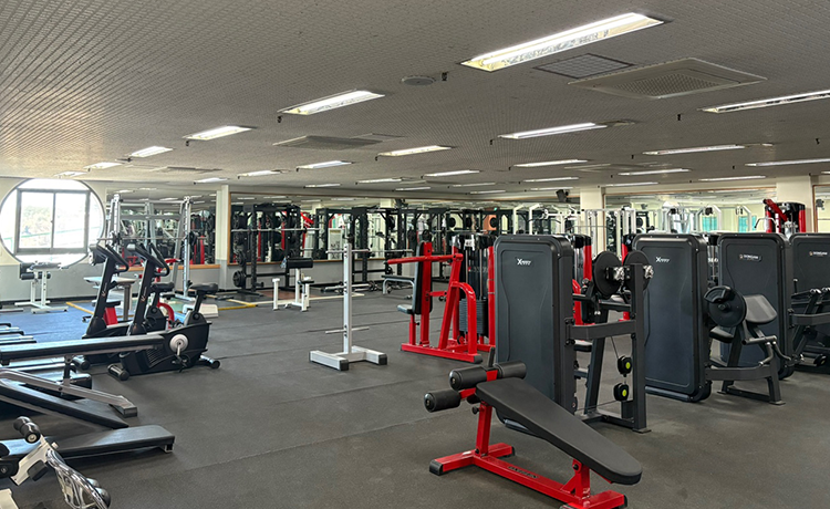 생활스포츠과 관련이미지3