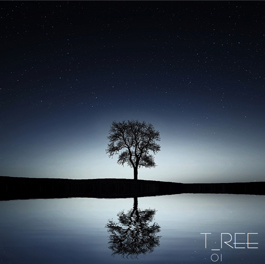 전경민 / 나무 / 2016.03.25